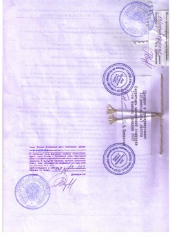 Устав ВНС СССР